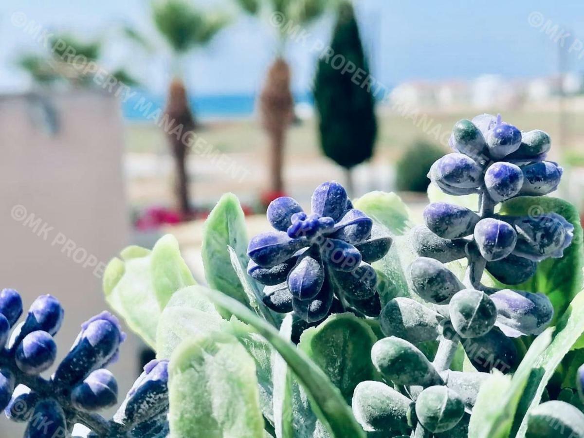 Lysia Sea-View Apartment Larnaca Ngoại thất bức ảnh
